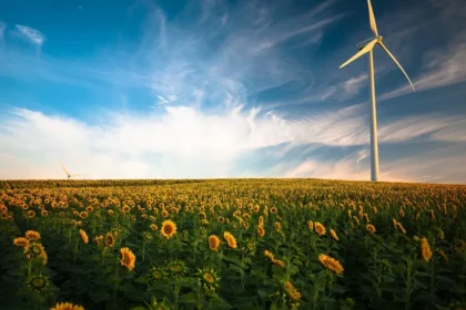 The Future is Bright: Clean Energy Portfolios on the Rise